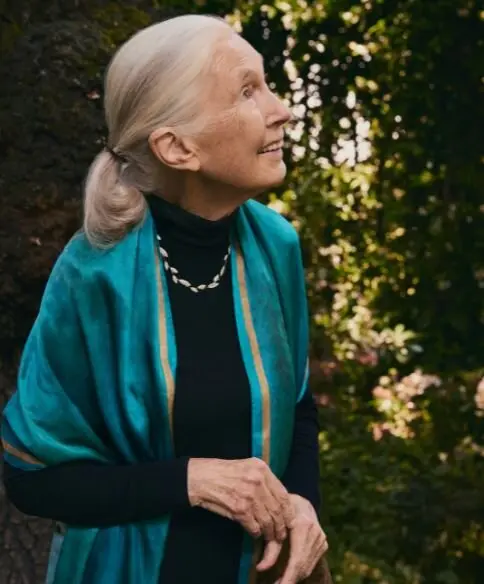 Jane Goodall Collection